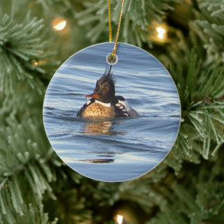 Enfeite de Foto de Pato