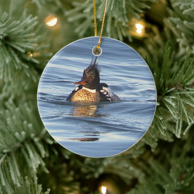 Enfeite de Foto de Pato (Árvore)