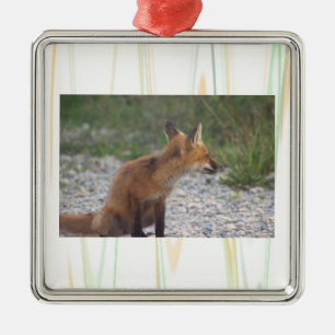 Enfeite de Foto de Raposa