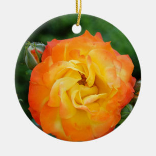 Enfeite de Foto de Rosa