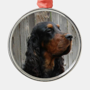 Enfeite de Foto do Gordon Setter