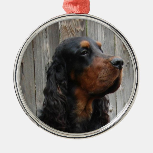 Enfeite de Foto do Gordon Setter (Frente)