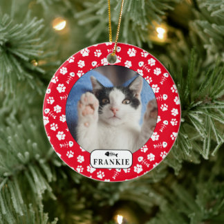 Enfeite de Foto Personalizado de Gato com Espinha