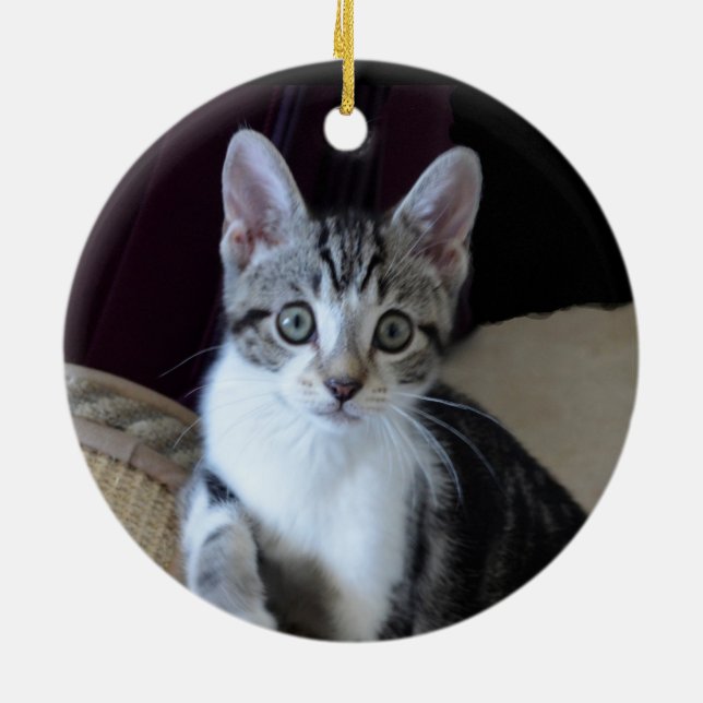 Enfeite de gatinho tabby cinza/branco (Traseira)
