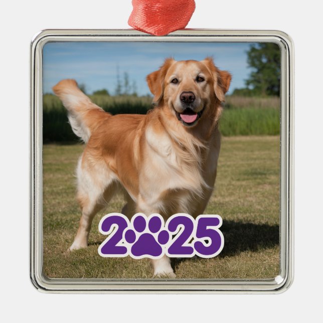 Enfeite de Metal com Foto de Pet Personalizado 202 (Frente)