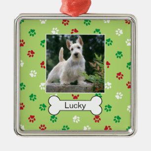 Enfeite de Moldura Mini Personalizada para Cachorr