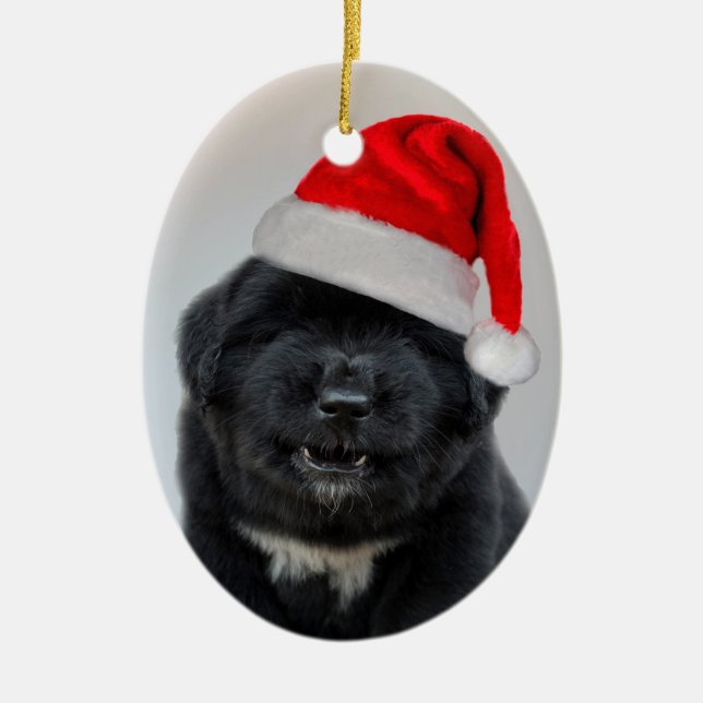 Enfeite de Natal Bark Humbug (Frente)