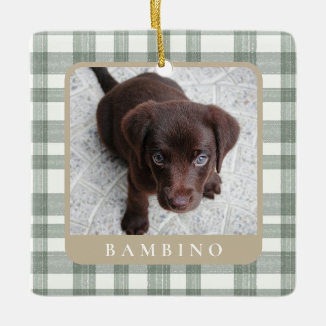 Enfeite de Natal com Foto de Pet Personalizado (Frente)