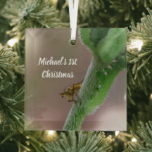 Enfeite de Natal com Foto Personalizada de Mosca d