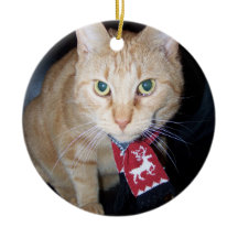 Enfeite de Natal de 2026 Gato Laranja Usando Cache