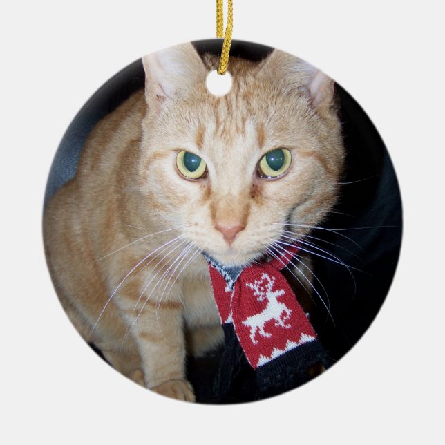 Enfeite de Natal de 2026 Gato Laranja Usando Cache (Frente)