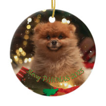 Enfeite de Natal de Cachorro Personalizado – Foto