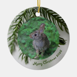 Enfeite de Natal de Sempre-Verde com 2 Fotos Frent