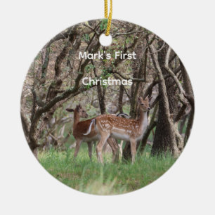 Enfeite de Natal de Veado da Floresta Personalizad