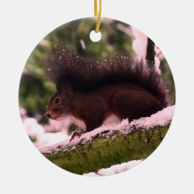 Enfeite de Natal em Círculo com Foto de Esquilo no (Frente)