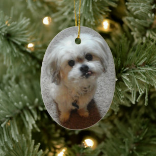 Enfeite de Natal Oval Bear the Malshi