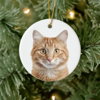 Enfeite de Natal Personalizado com Foto de Gato