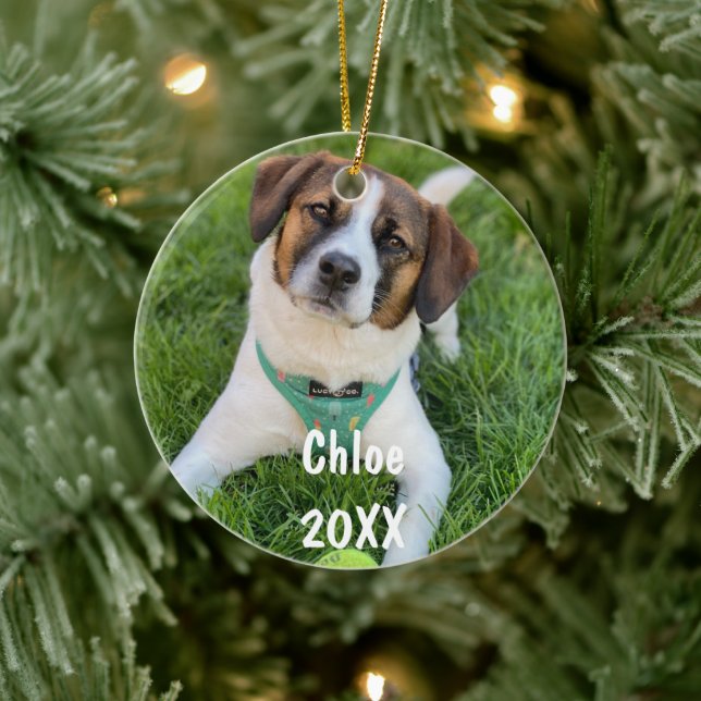 Enfeite de Natal Personalizado com Foto do Animal  (Árvore)