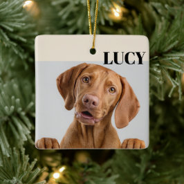 Enfeite de Natal Personalizado com Foto do Cachorr