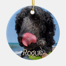 Enfeite de Natal Personalizado para Animais de Est