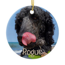 Enfeite de Natal Personalizado para Animais de Est