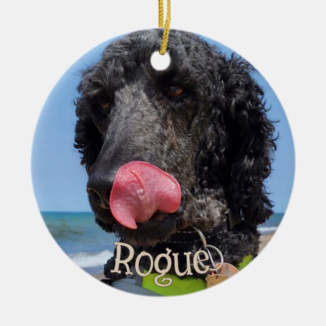 Enfeite de Natal Personalizado para Animais de Est (Frente)