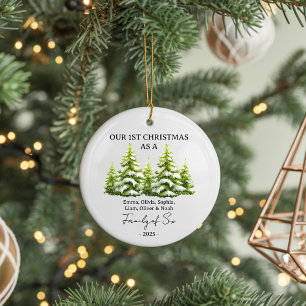 Enfeite de Natal Personalizado para Família como P