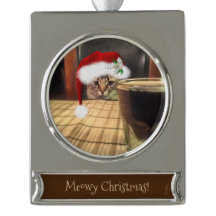 Cerveja Sup? Fotografia de Gato de Gato Humor Engr