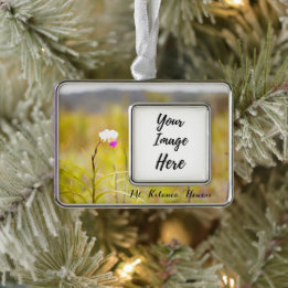 Enfeite De Natal Prateado Com Foto Parque Nacional dos Vulcões do Mt. Kilauea