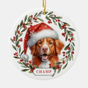 Enfeite de Nova Scotia Duck Tolling Retriever