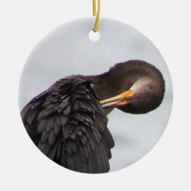 Enfeite de Pássaro Cormorão (Frente)