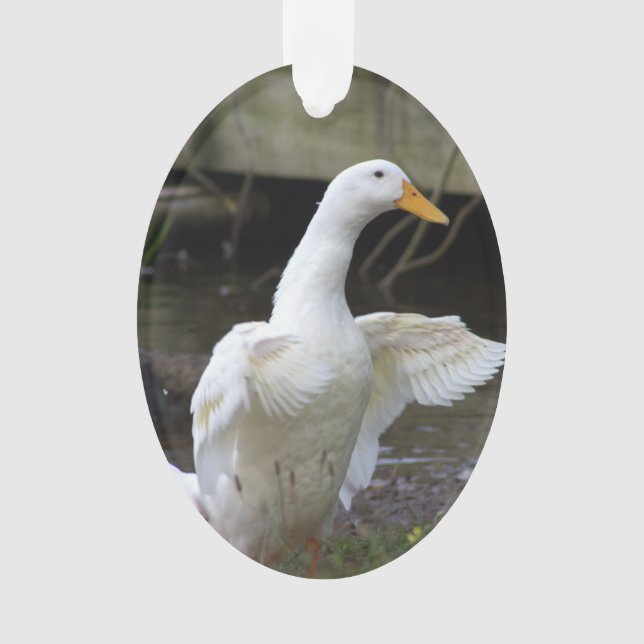 Enfeite de Pato Branco (Frente)
