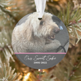 Enfeite de Pet Personalizável Memória de Pet