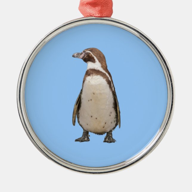 Enfeite de Pinguim-de-magalhães (Frente)