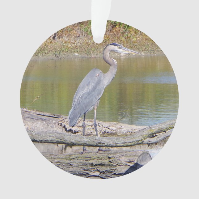 Enfeite de plástico de dupla face Garça Azul (Frente)