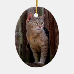 enfeite de porcelana de gato vigilante