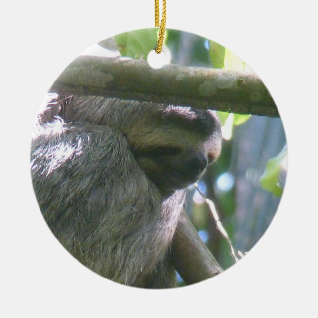 Enfeite de Preguiça Fofa da Costa Rica (Frente)