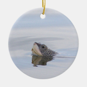 Enfeite de rosto de tartaruga Diamondback Terrapin