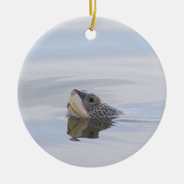 Enfeite de rosto de tartaruga Diamondback Terrapin (Frente)