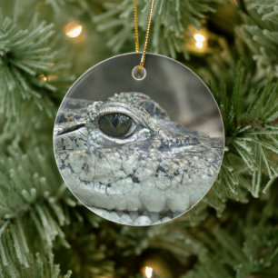 Enfeite de Sorriso de Crocodilo