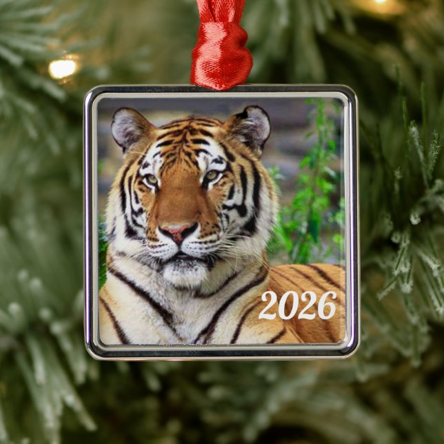 Enfeite de Tigre Siberiano (Árvore)