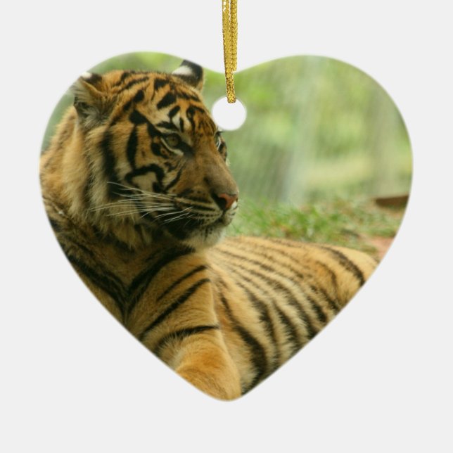 Enfeite do Tigre Adormecido (Frente)