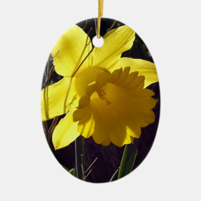 Enfeite feliz de férias de Páscoa, pombo e flor (Frente)
