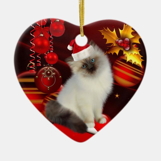 Enfeite Gato de Natal Com Chapéu de Papai Noel (Frente)