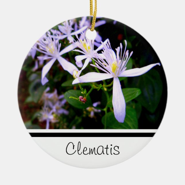 Enfeite Lembrança de Clematite Doce Outono (Frente)
