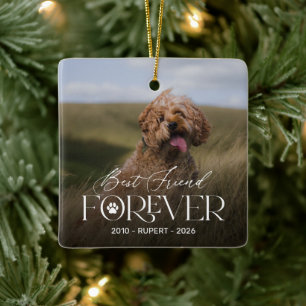 Enfeite Memorial para Cão Melhor Amigo Para Sempre