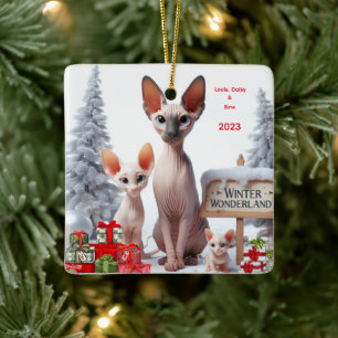 Enfeite Personalizado de Natal para Família Sphynx