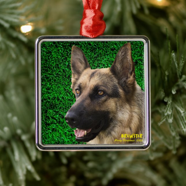 Enfeite Personalizado para Pet, Foto e Nome do Cac (Árvore)