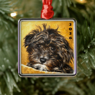 Enfeite Quadrado Premium Schnoodle