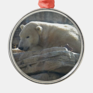 Enfeite Redondo Premium de Vida Selvagem Urso Pola